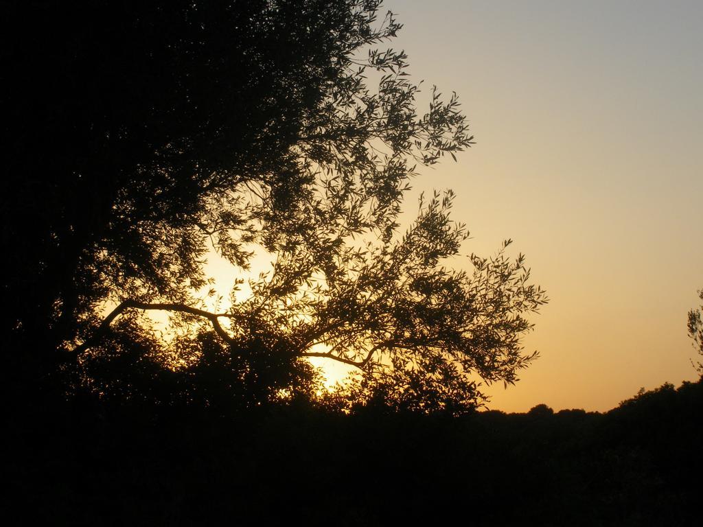 S'ustiarvu- Nuova Gestione 3* Cala Liberotto