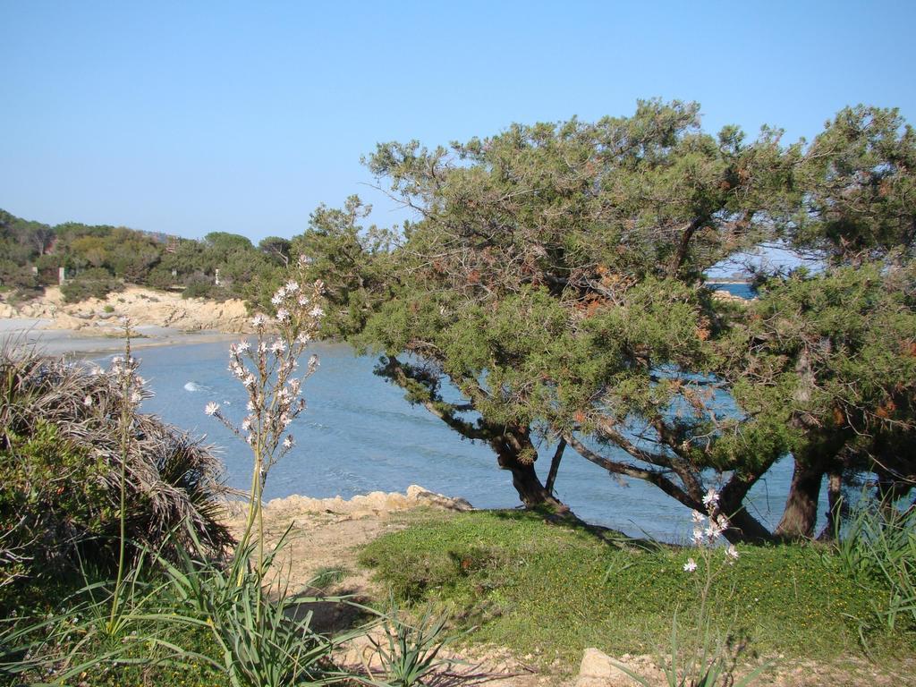 S'ustiarvu- Nuova Gestione Hotel 3*