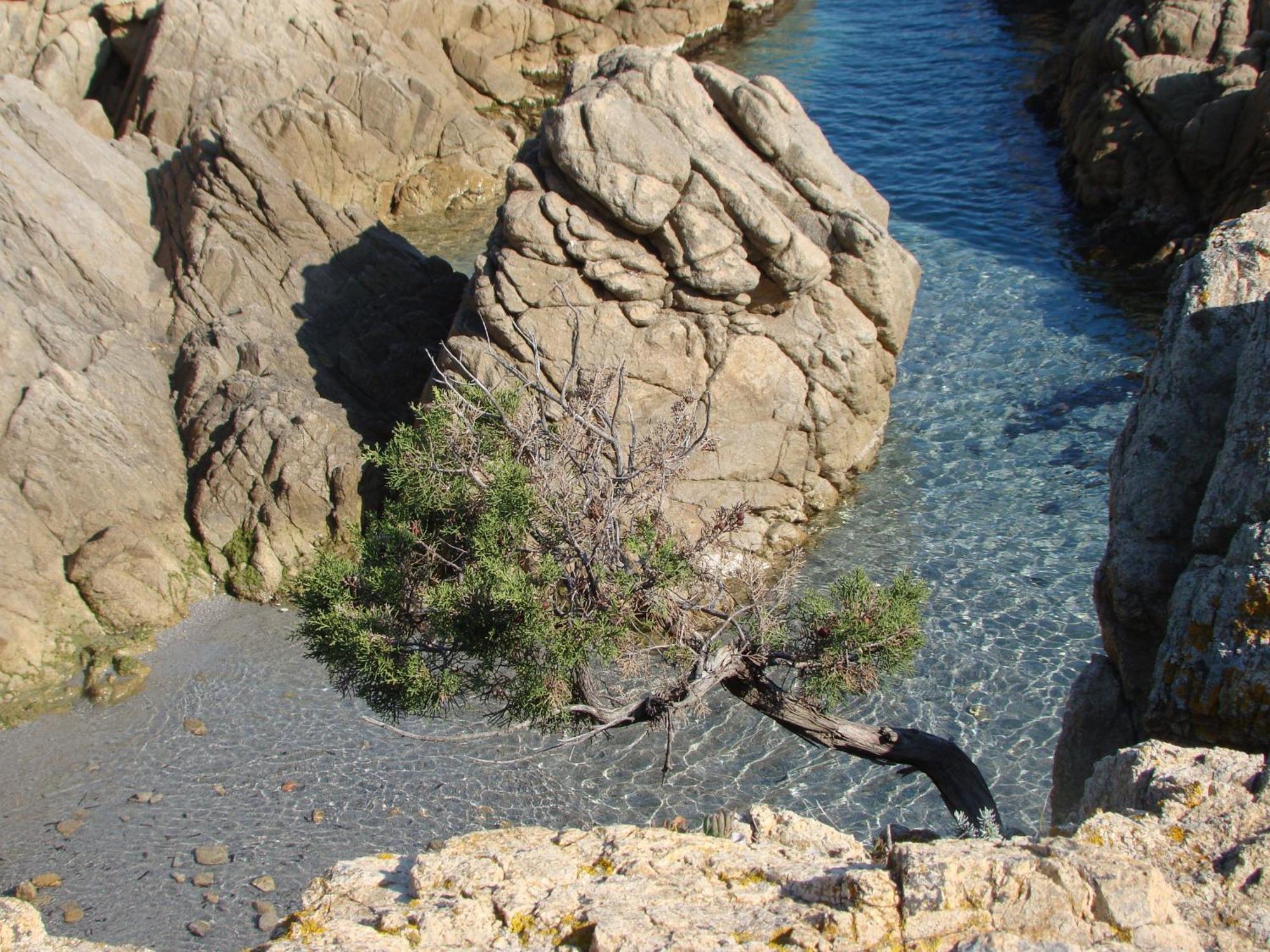 Hotel S'ustiarvu- Nuova Gestione 3*