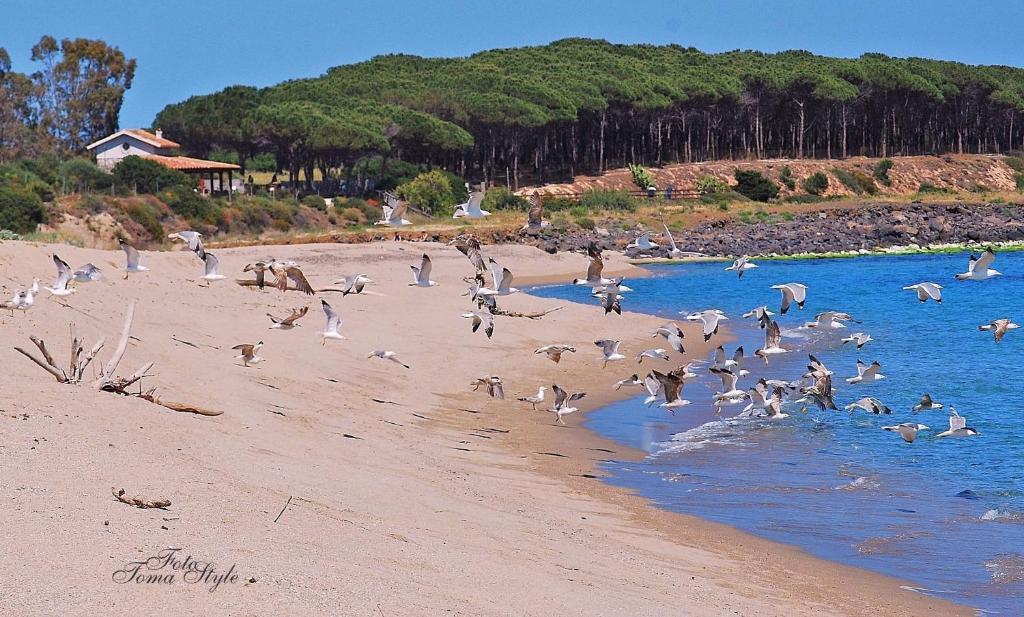 Hotel S'ustiarvu- Nuova Gestione Cala Liberotto